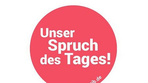 Spruch des Tages