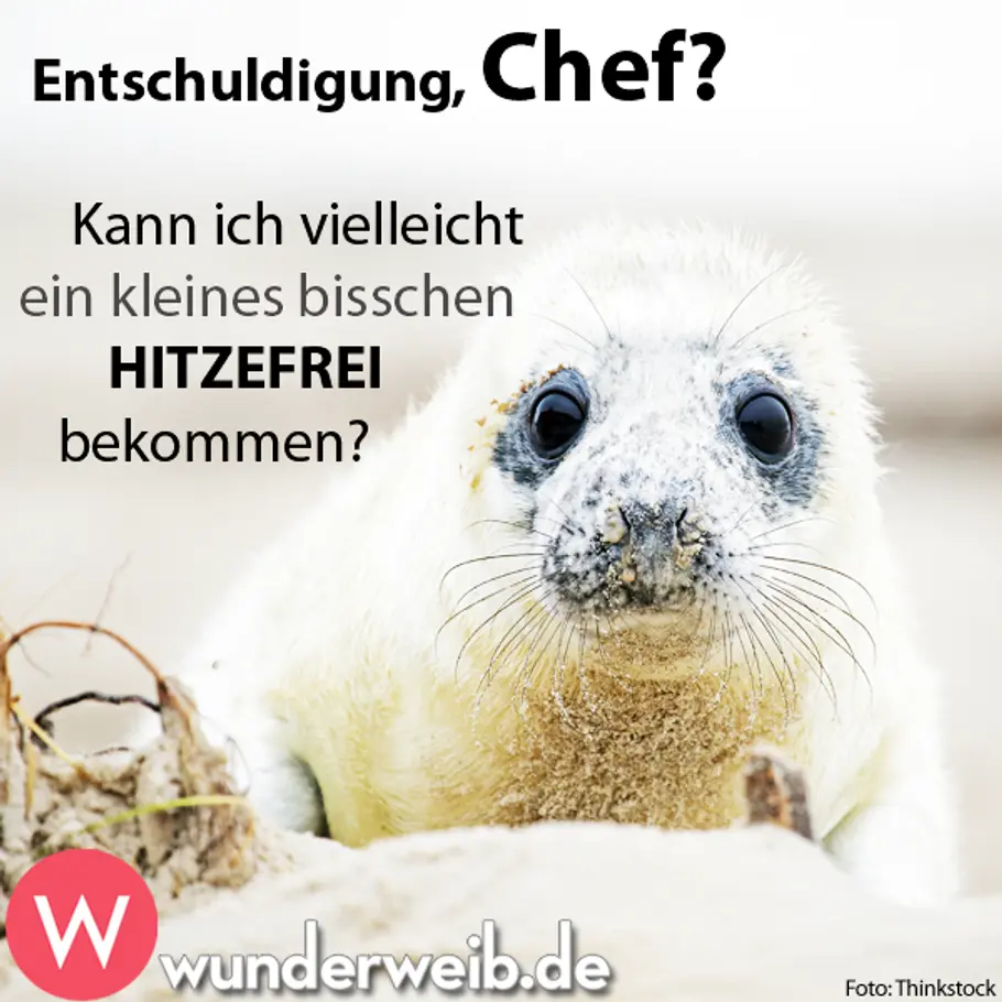 Spruch des Tages - Weisheiten für jede Gelegenheit spruch mittwoch