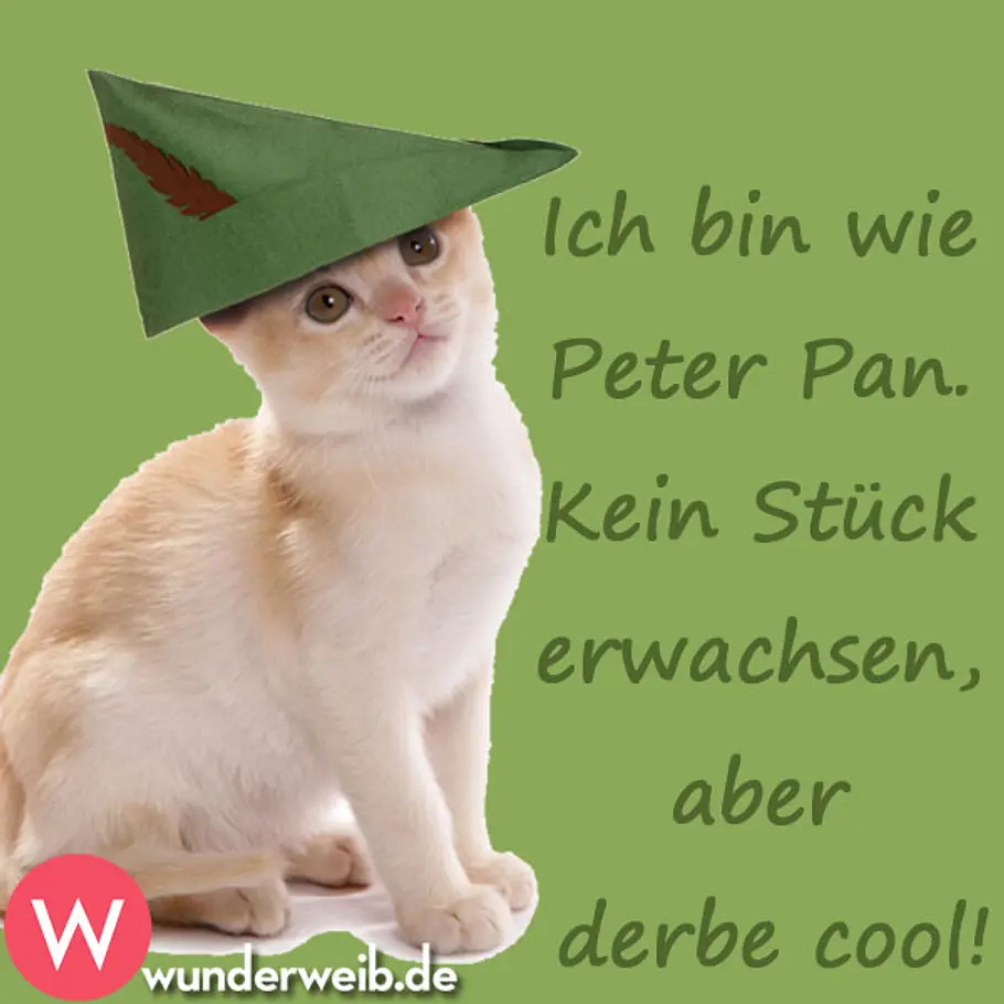 Spruch des Tages - tägliche Weisheiten für jede Situation spruch sonntag