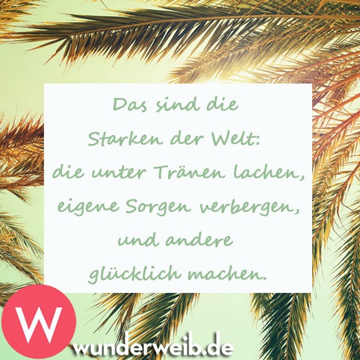 spruch