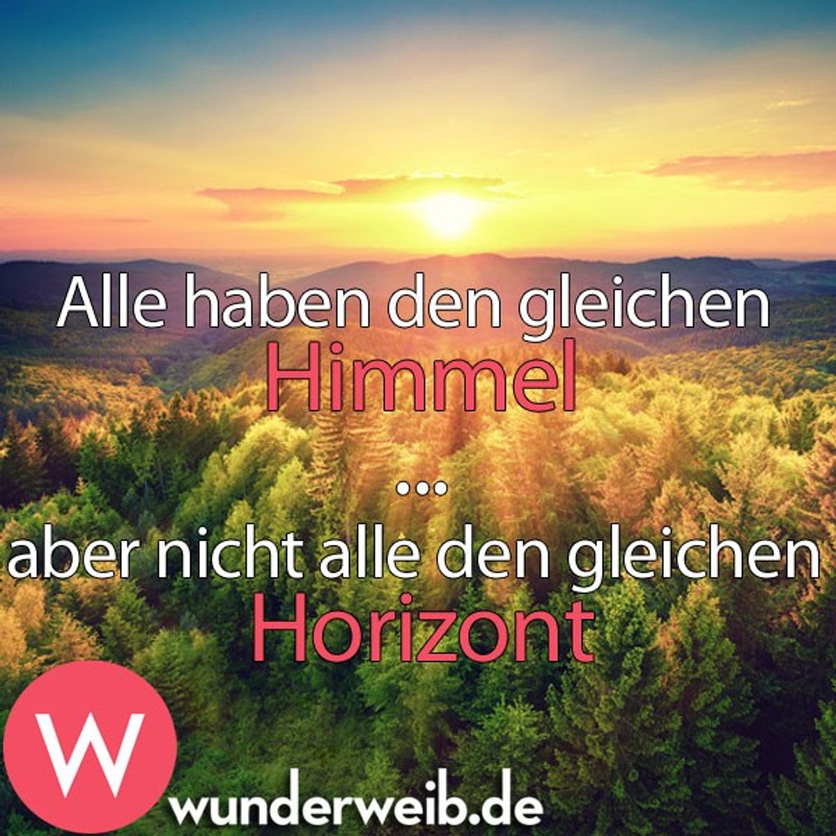 spruch