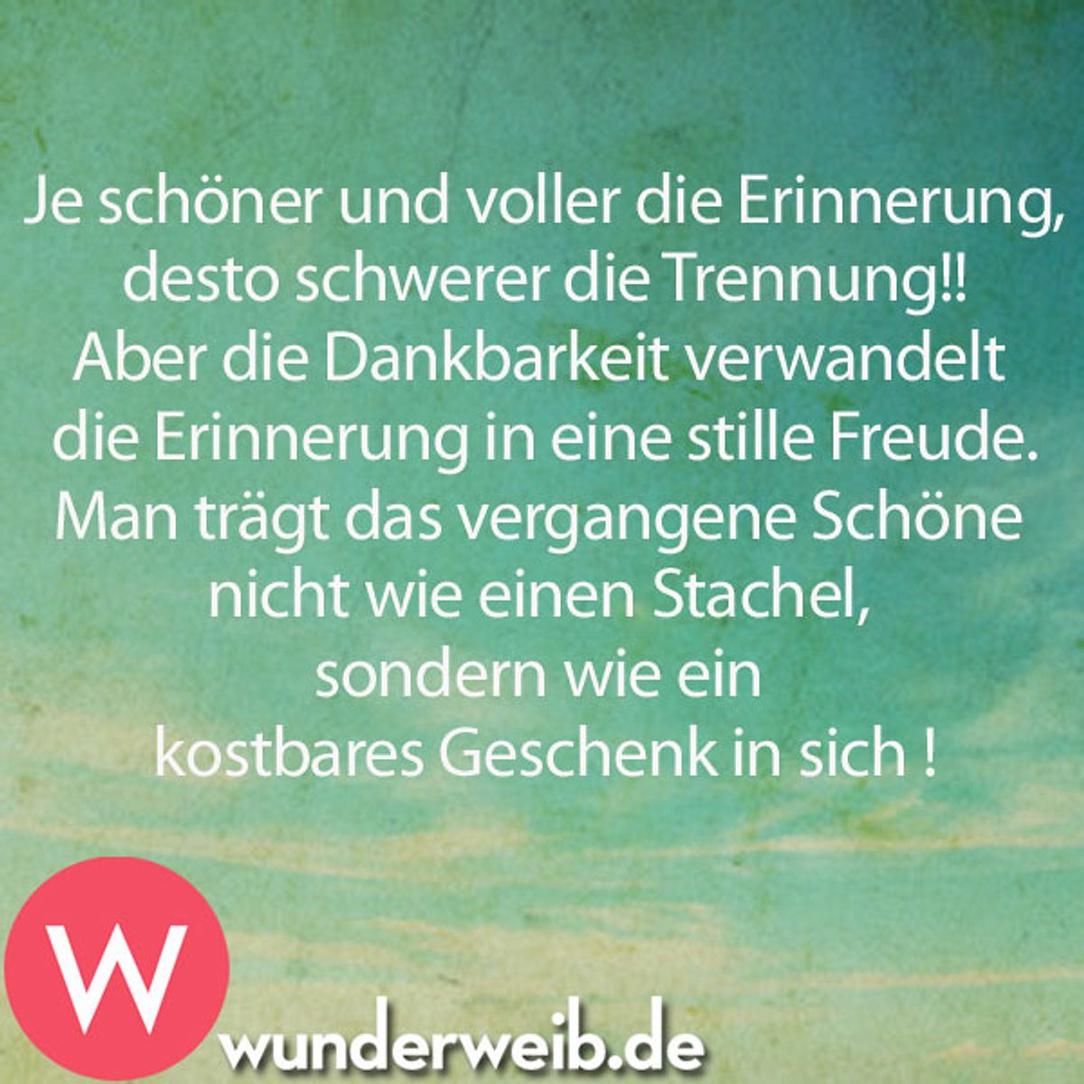 spruch