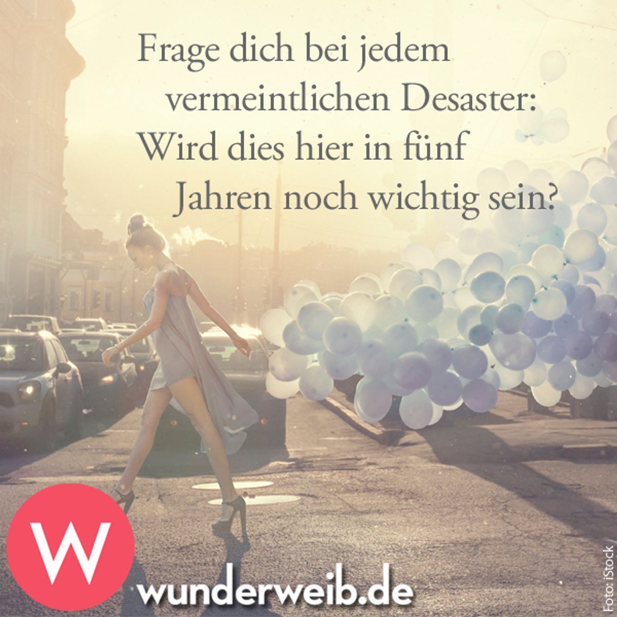 spruch