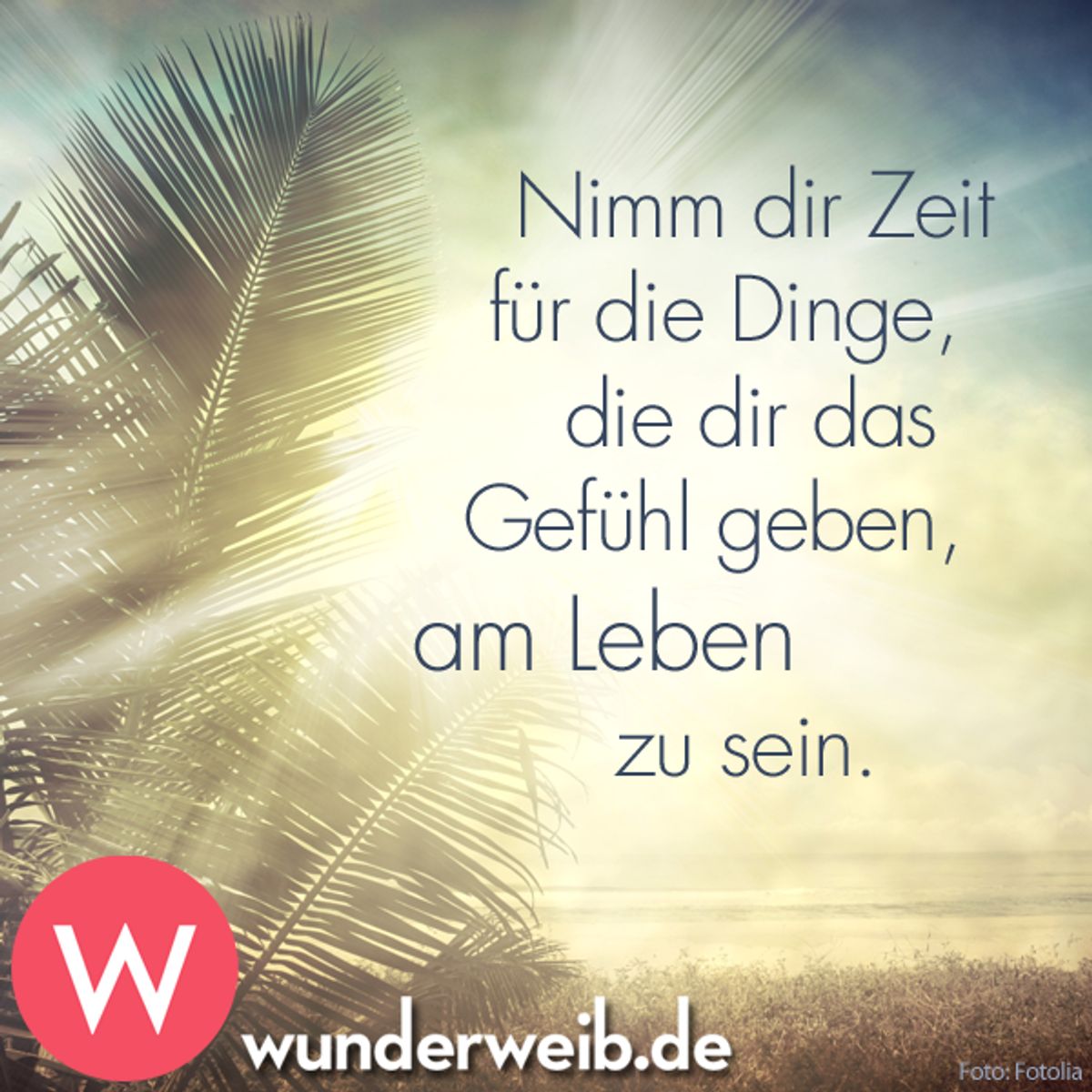 spruch