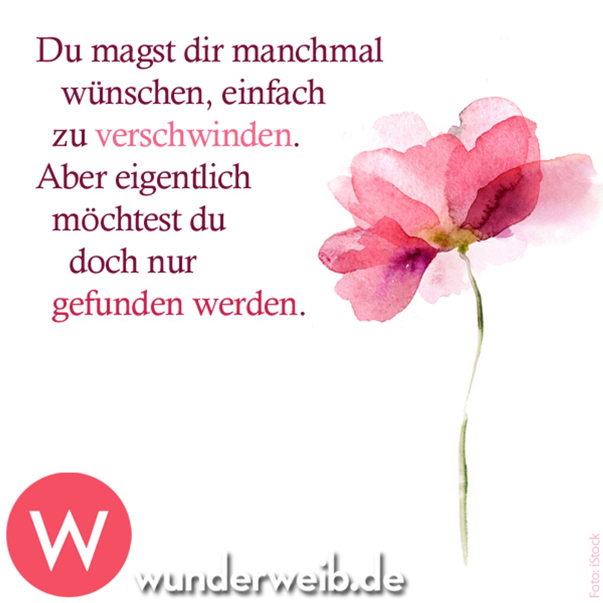 spruch