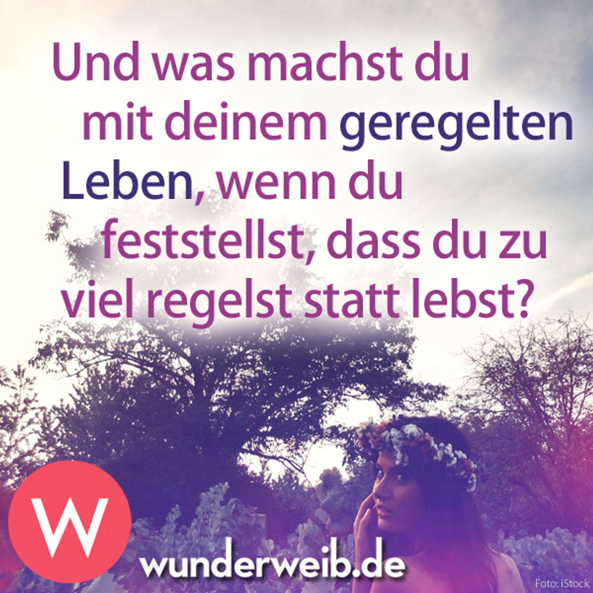 spruch