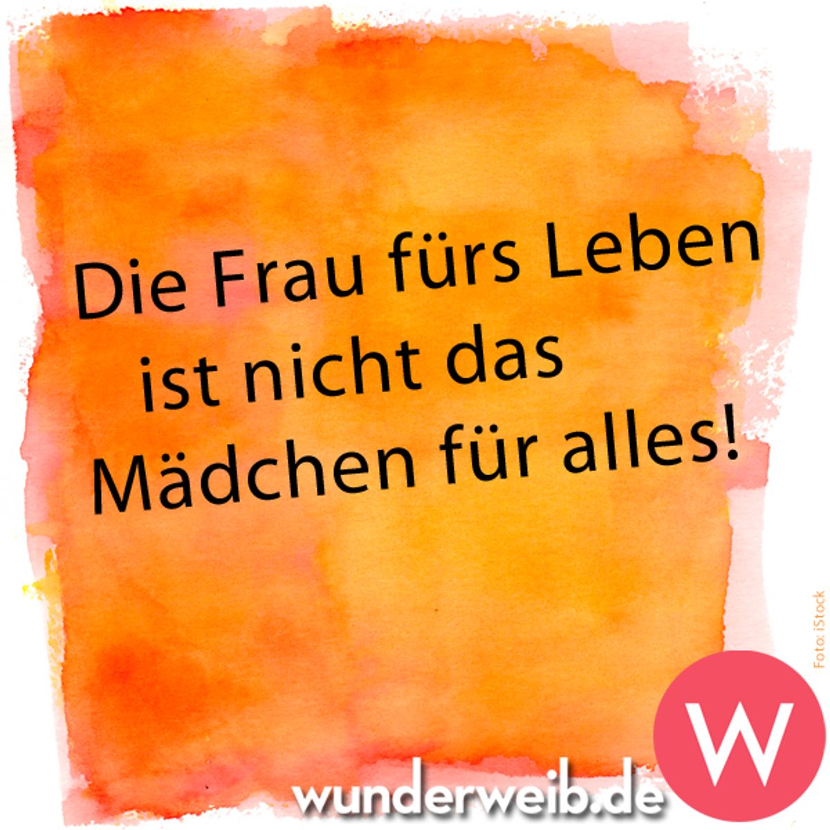 spruch