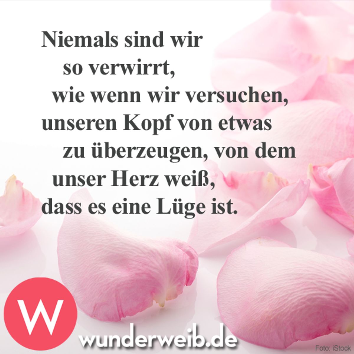 spruch