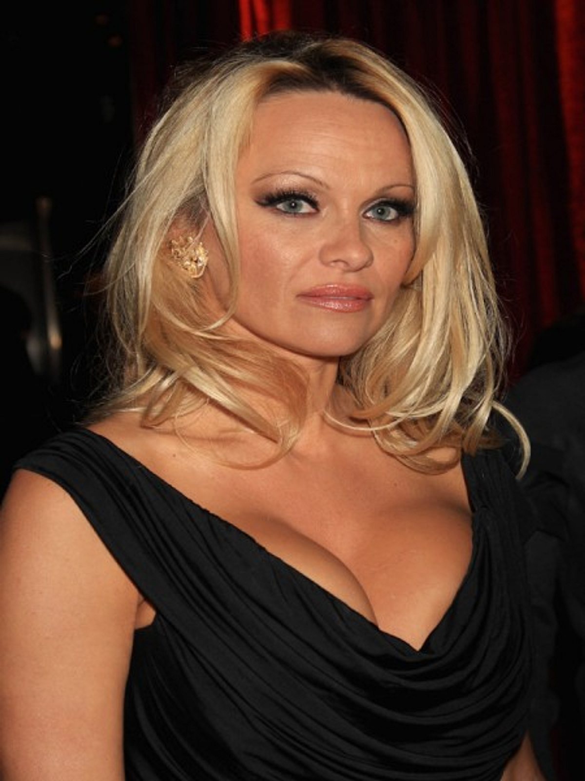 stars mit quetsch dekollete pamela anderson