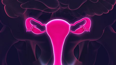 Das gilt es alles bei einer Sterilisation bei Frauen zu bedenken. - Foto: iStock/Nerthuz