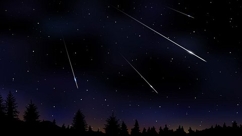 Sternschnuppen sausen über den Nachthimmel. - Foto: iStock/ Olga Beliaeva