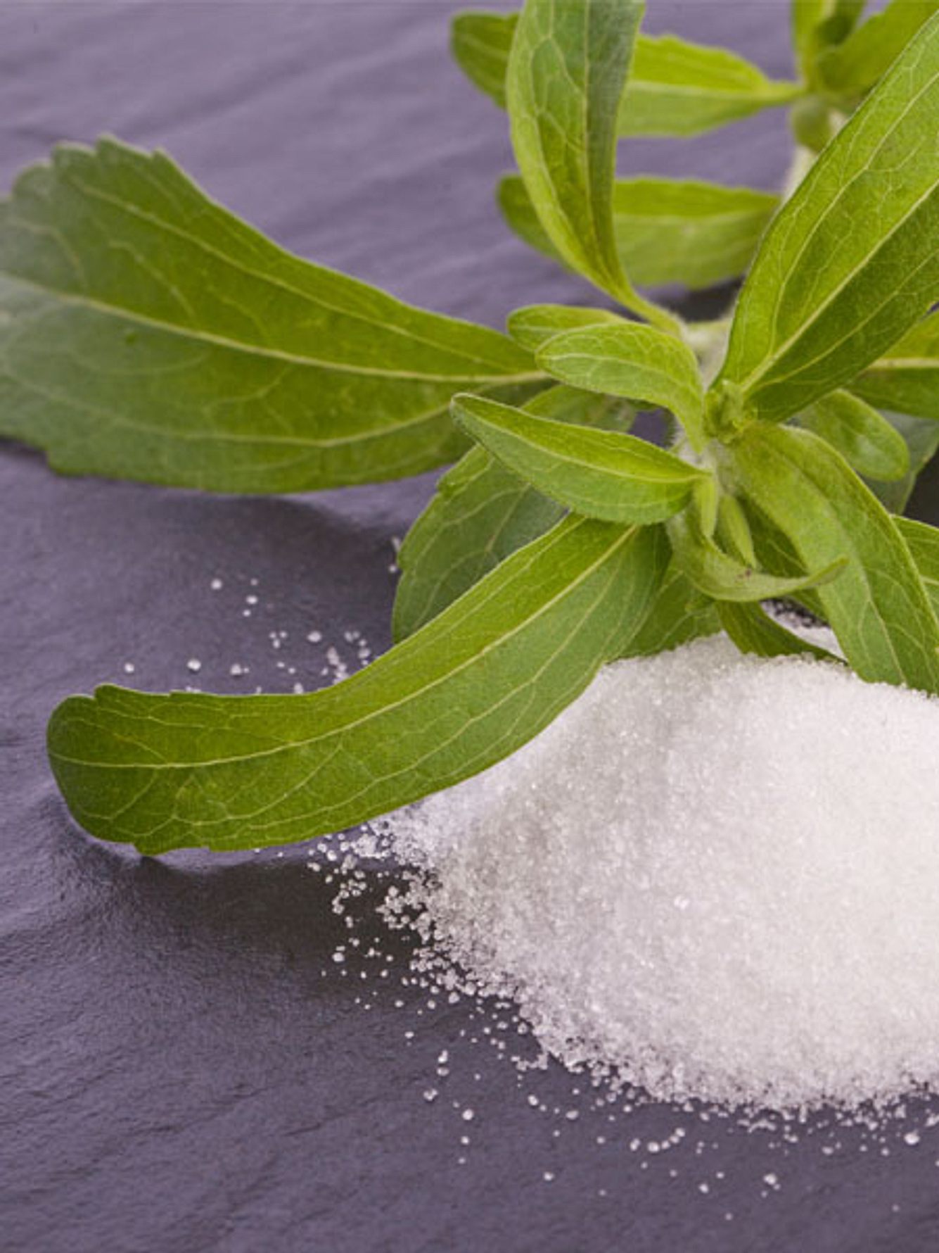 stevia wahrheit zuckerersatz