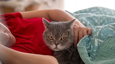 Menschen, die Katzen haben, sollen einer Studie zufolge öfter Schlafprobleme haben. - Foto: 101cats/istock