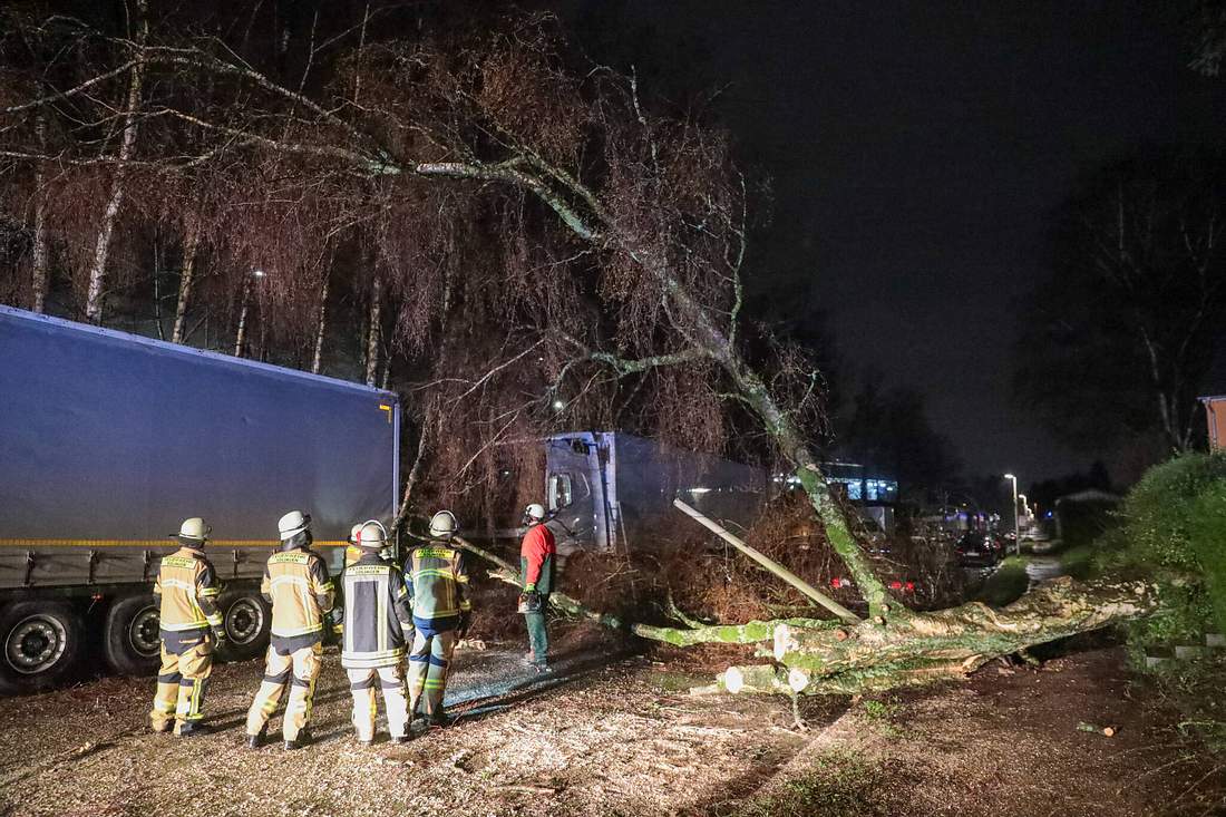 In Solingen (NRW) beschädigte ein umgestürzter Baum mehrere Fahrzeuge.