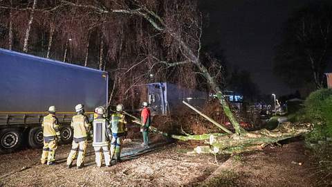 In Solingen (NRW) beschädigte ein umgestürzter Baum mehrere Fahrzeuge. - Foto: IMAGO / Tim Oelbermann