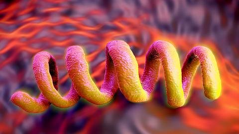 Warum Syphilis so gefährlich ist. - Foto: iStock/royaltystockphoto