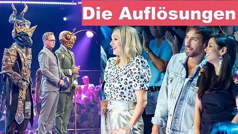 The Masked Singer: Alle Auflösungen zum Finale! - Foto: DPA