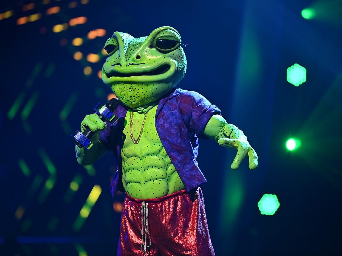 The Masked Singer 2020: Der Frosch wurde entthüllt!