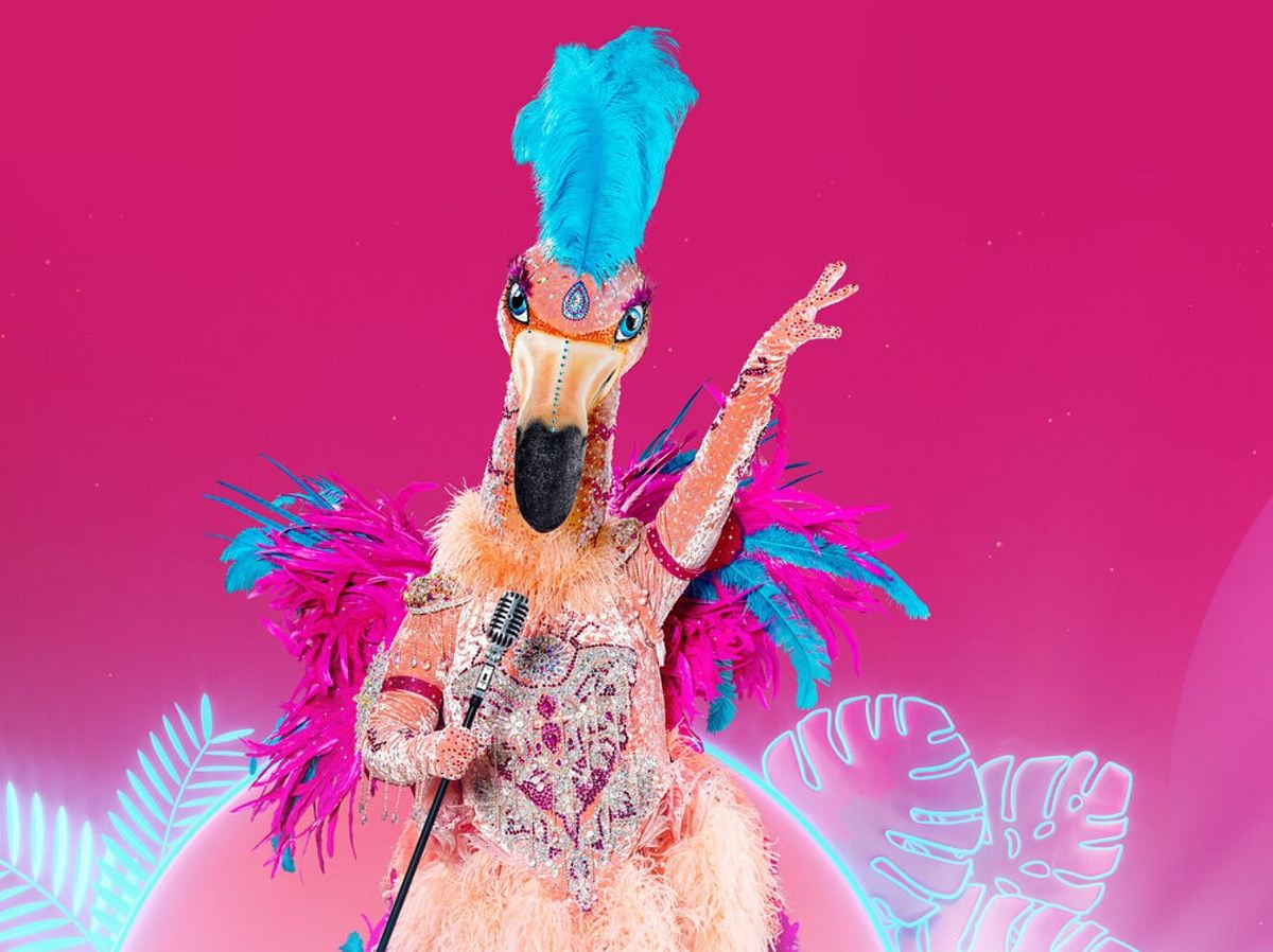 The Masked Singer 2021: Flamingo enthüllt - Dieser Promi steckt dahinter!