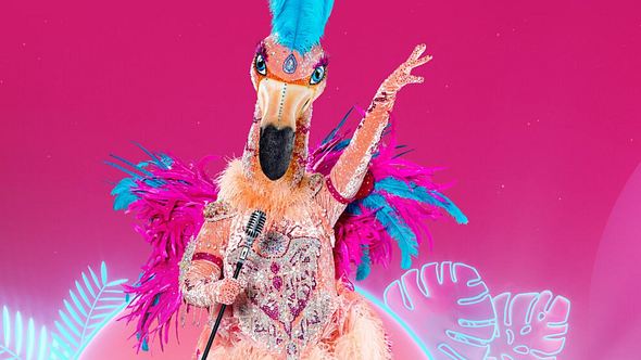 The Masked Singer 2021: Flamingo enthüllt - Dieser Promi steckt dahinter! - Foto: ProSieben/Willi Weber