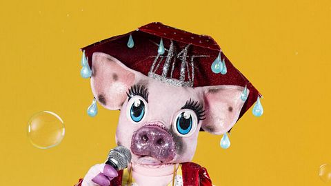 The Masked Singer 2021: Schwein enthüllt - Dieser Promi steckt dahinter! - Foto: ProSieben/ Willi Weber