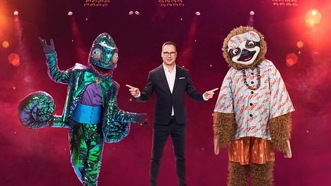 The Masked Singer: Das sind alle Kostüme - Foto: ProSieben/Jens Hartmann