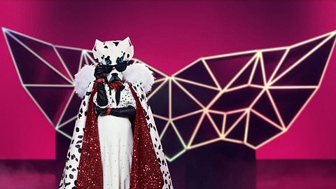 Der Dalmatiner wurde enthüllt. - Foto: Prosieben