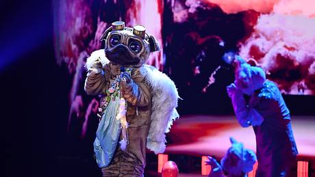 Der Mops bei The Masked Singer - Foto: ProSieben / Willi Weber