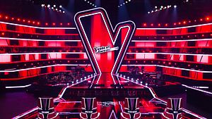 Nach XXL-Abschied! Sie sind die Neuen bei The Voice of Germany - Foto: ProSieben / SAT.1 / André Kowalski