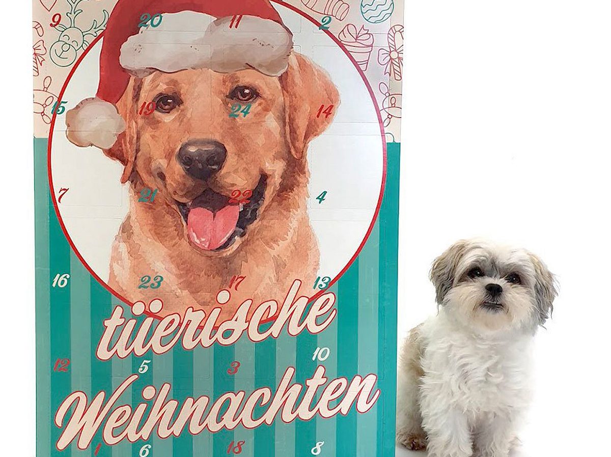 Hundeadventskalender im Großformat