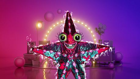 The Masked Singer Seestern - Foto: ProSieben/Benjamin Kis