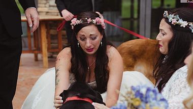 Kurz vor seinem Tod möchte Hund Charlie noch bei der Hochzeit seines Frauchens dabei sein. - Foto: Instagram/ jendzphotography