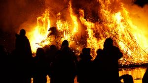 Tragisches Osterfeuer-Unglück kostet Fuchswelpe fast das Leben - Foto: deepblue4you/iStock