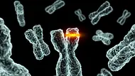 Chromosomenstörungen wie Trisomie 21 und Trisomie 18 können schwere Fehlbildungen beim ungeborenen Kind verursachen. - Foto: iStock Chromosomenstörungen wie Trisomie 21 und Trisomie 18 können schwere Fehlbildungen beim ungeborenen Kind verursachen. - Foto: iStock