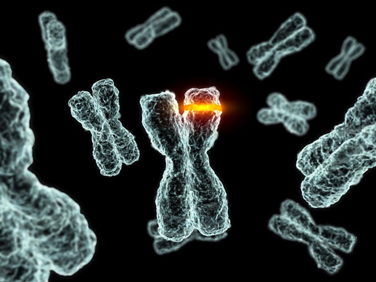 Chromosomenstörungen wie Trisomie 21 und Trisomie 18 können schwere Fehlbildungen beim ungeborenen Kind verursachen.