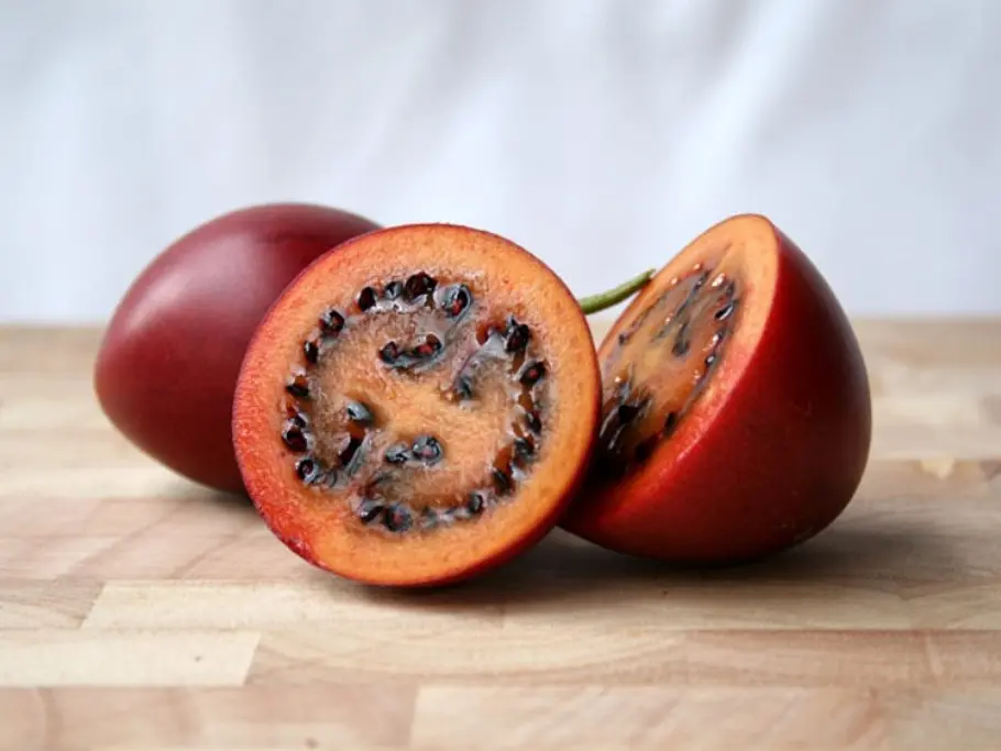 8. Tamarillo oder Baumtomate unbekannte fruechte