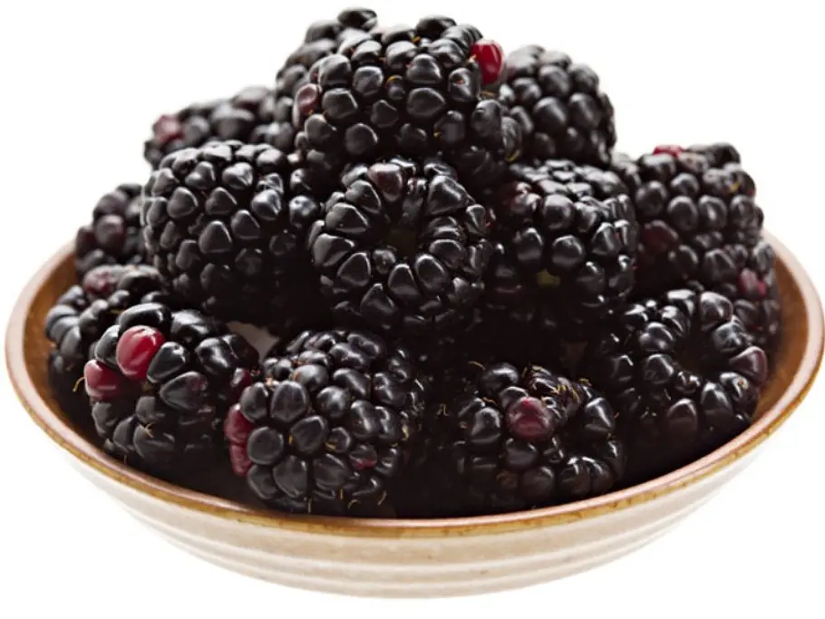 12. Boysenbeere unbekannte fruechte