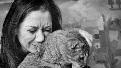 Eine Katze ist für viele wie ein Familiemitglied. - Foto: jeangill/istock