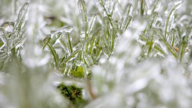 Unwetter-Warnung: Frost-Schock mit extremer Kälte - Foto: imago images / Jan Eifert