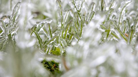 Unwetter-Warnung: Frost-Schock mit extremer Kälte - Foto: imago images / Jan Eifert