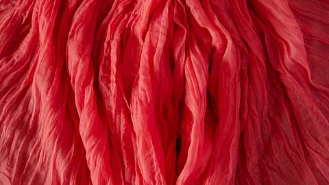 Anatomie, Aussehen, Geruch, pH-Wert, Selbstbefriedigung – alles Wissenswerte rund um die Vagina! - Foto: iStock / Volodymyr Zakharov