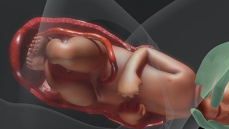 Verändert sich die Vagina nach einer Geburt dauerhaft? Wir klären auf. - Foto: iStock