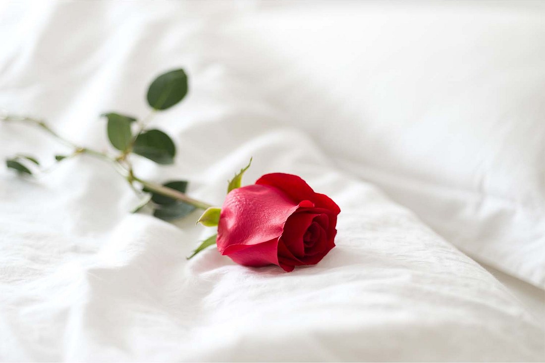 Valentinstag Rose auf dem Bett Valentinstag Rose auf dem Bett