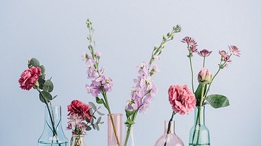 Bunte Vasen aus Glas mit Blumen - Foto: iStock/ knape