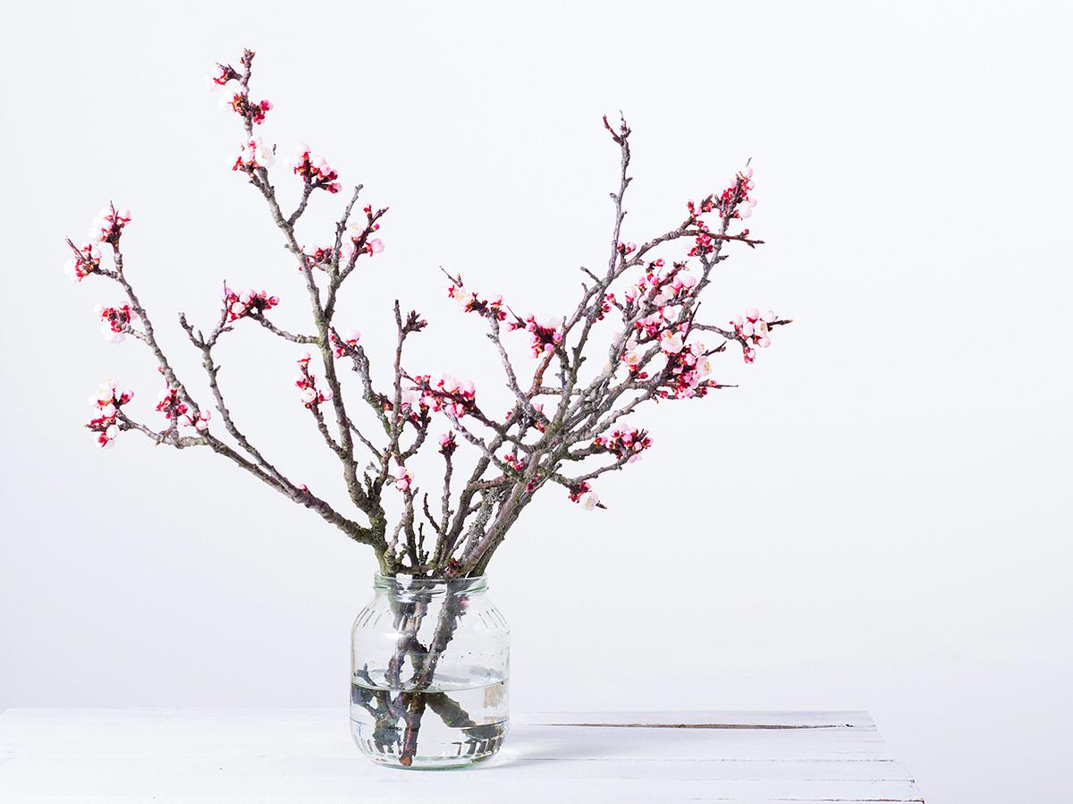 Vasen-Deko für den Frühling