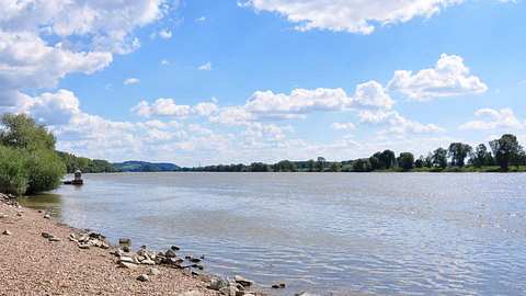 Bayern: Vater rettet Kinder aus Donau - nun ist er verschwunden - Foto: iStock