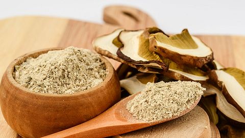 Vitalpilze sind ein uraltes Heilmittel der Traditionellen Chinesischen Medizin. - Foto: iStock / fotoco-istock