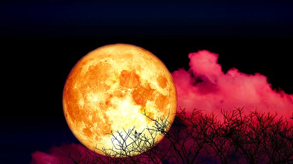 vollmond 8. November 2022 - Foto: Chayanan/iStock