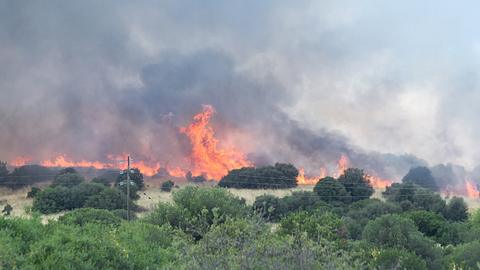 Waldbrand in Griechenland - Foto: iStock/summerphotos