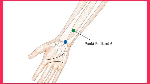 Grafische Darstellung eines Arms mit Knochen und Anzeige des Punkts Perikard 6 unterhalb des Handgelenks (Themenbild) - Foto: © Grafikbüro Schaaf, Karlsruhe; Gisela Rüger, München; Holger Vanselow, Stuttgart, TRIAS Verlag